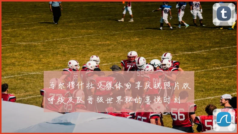 马尔穆什社交媒体分享庆祝照片欢呼埃及队晋级世界杯的喜悦时刻